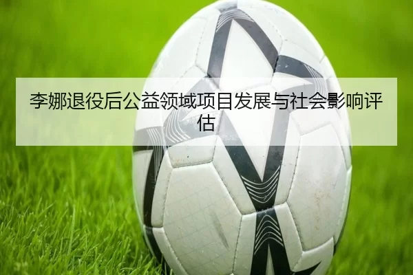 李娜退役后公益领域项目发展与社会影响评估