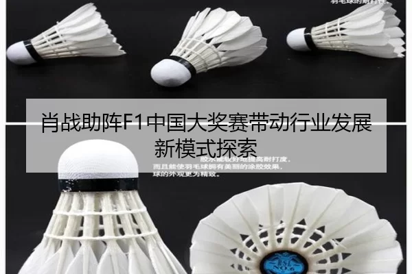 肖战助阵F1中国大奖赛带动行业发展新模式探索